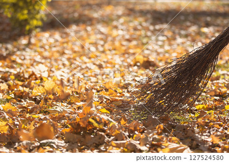 The broom sweeps the yellow leaves in the fall. The broom sweeps the yellow leaves in the fall. 127524580