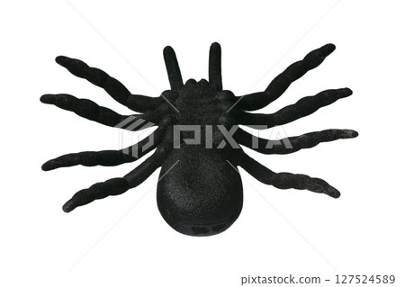Silhouette of a black spider on a white background. 127524589