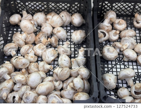 A lot of champignon mushrooms on sale in vegetable stand display at supermarket shop organic food, vegetarian food, healthy food. Background. Close-up 127524733