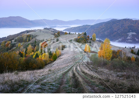 Country road curves through autumn hills with yellow and orange trees Country road curves through autumn hills with yellow and orange trees 127525143