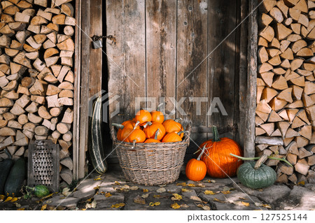 Cozy country scene with orange pumpkins in a wicker garden basket 127525144