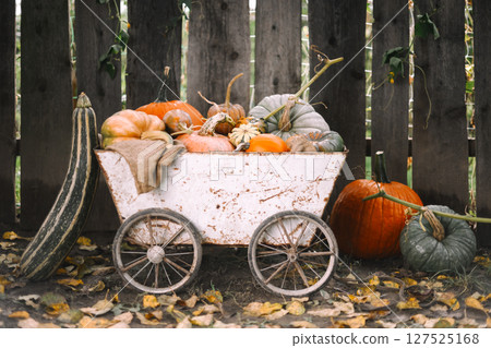 Pumpkin pile of mixed varieties rests on vintage metal cart 127525168