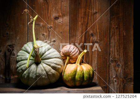 Various pumpkins arranged on aged wooden table 127525204