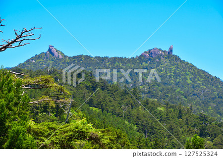 Yakushima, Mount Hanaori, Mount Tachu 127525324