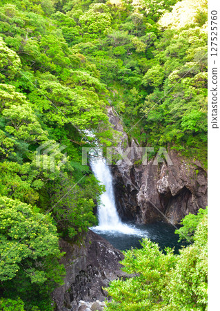 屋久島龍津瀑布 屋久島龍津瀑布 127525760