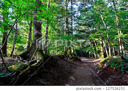 禦坂山脈:通往光峠山的登山路線 禦坂山脈:通往光峠山的登山路線 127526231