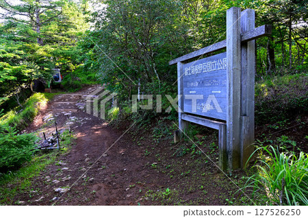 Misaka Mountains: Hiking trail to Mt. Mitsutoge Misaka Mountains: Hiking trail to Mt. Mitsutoge 127526250
