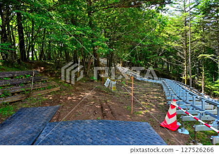 禦坂山的夏天：清八林道的盡頭，大畑八丁峠 127526266