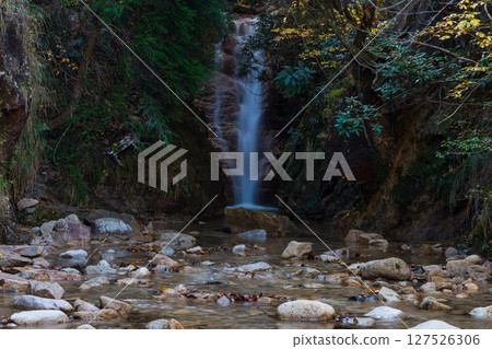 Autumn in Kobe, Hyogo Prefecture, Arima Onsen with autumn leaves, Taiko Falls 127526306