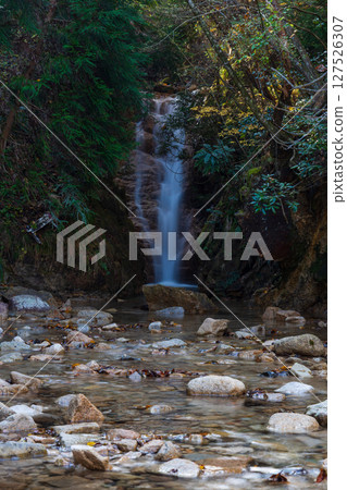 Autumn in Kobe, Hyogo Prefecture, Arima Onsen with autumn leaves, Taiko Falls 127526307