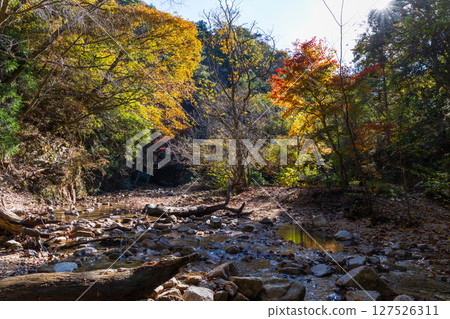 兵庫縣神戶的秋天，有馬溫泉的紅葉，瑞寶寺公園 127526311