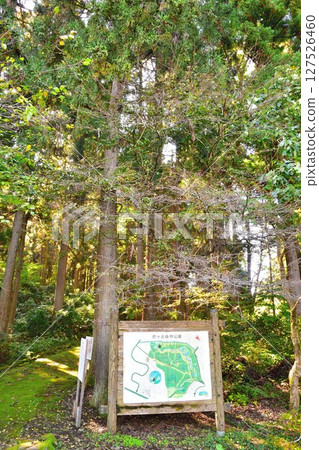 巴丘自然公園（新潟縣） 127526460