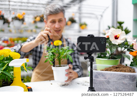 A man in a greenhouse films a gardening tutorial on his smartphone, showing a marigold in a pot. A man in a greenhouse films a gardening tutorial on his smartphone, showing a marigold in a pot. 127526487