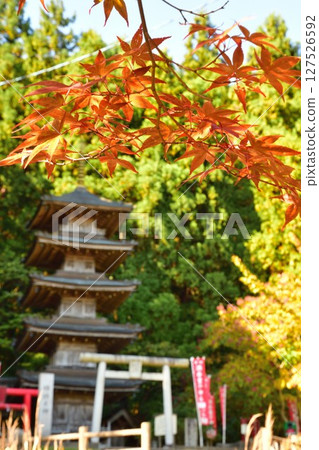 酒吞童子神社的紅葉（新潟縣） 127526592