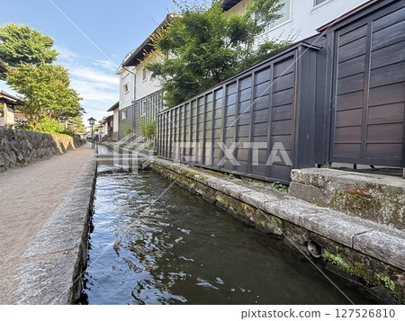 Carp swimming in the Seto River Carp swimming in the Seto River 127526810