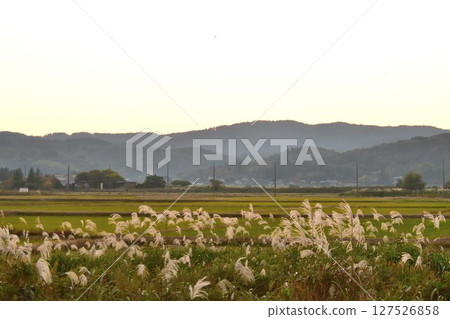 Rural scenery of Gosen (Niigata Prefecture) 127526858