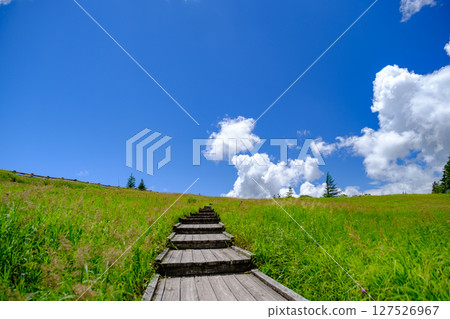 一條通往藍天和雲彩的木路 127526967