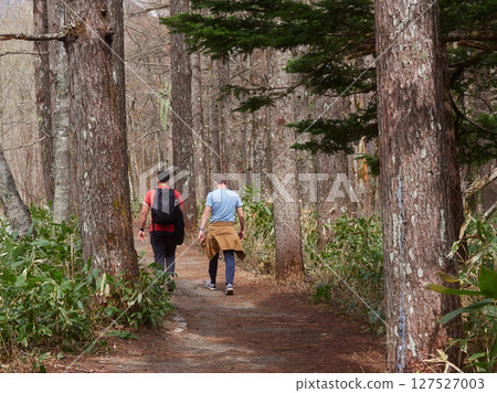 Tourists strolling along the Hotaka mountain range and Azusa River in Kamikochi, a popular tourist spot in early summer 127527003