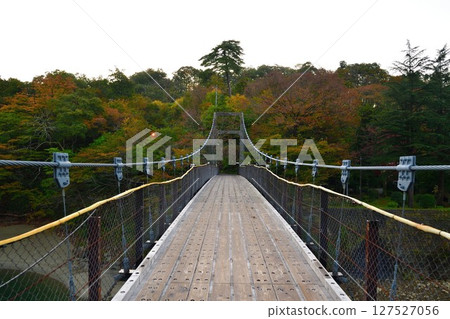 Takanosu Suspension Bridge (Niigata Prefecture) 127527056