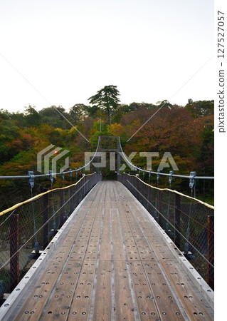 Takanosu Suspension Bridge (Niigata Prefecture) 127527057
