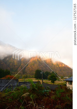 Arakawa Gorge Momiji Line (Niigata Prefecture) 127527165