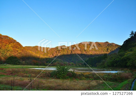 Arakawa Gorge Momiji Line (Niigata Prefecture) 127527166