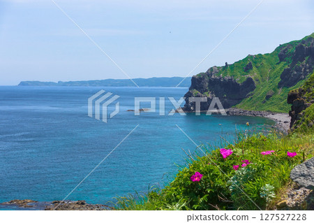 Shakotan Blue seen from Cape Kamui 127527228