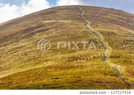 path up the steep hill. carpathian mountain landscape in summer. grassy alpine scenery of ukrainian highlands on a sunny day with fluffy clouds on the blue sky. hard way to success concept path up the steep hill. carpathian mountain landscape in summer. grassy alpine scenery of ukrainian highlands on a sunny day with fluffy clouds on the blue sky. hard way to success concept 127527416