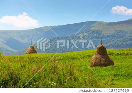 rural mountain landscape in summer. haystack on green hill near village. alpine scenery at the foot of borzhava ridge of ukraine in afternoon light rural mountain landscape in summer. haystack on green hill near village. alpine scenery at the foot of borzhava ridge of ukraine in afternoon light 127527419
