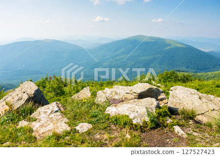 alpine meadows of carpathian mountain smooth also called runa. vacation season. grass and stones on the edge of a hill in summer. view in to the distant valley on a sunny afternoon with clouds on the alpine meadows of carpathian mountain smooth also called runa. vacation season. grass and stones on the edge of a hill in summer. view in to the distant valley on a sunny afternoon with clouds on the 127527423