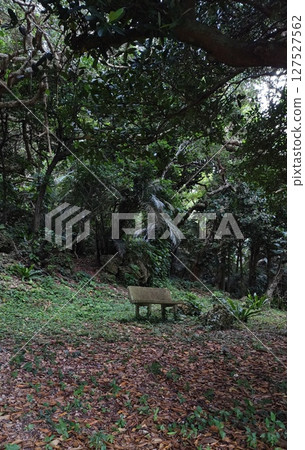 Fallen carpets and benches 127527562