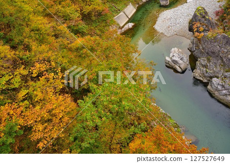 Autumn leaves along Tamagawa River (Yamagata Prefecture) 127527649
