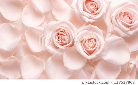 Beautiful bouquet of pink roses 127527908