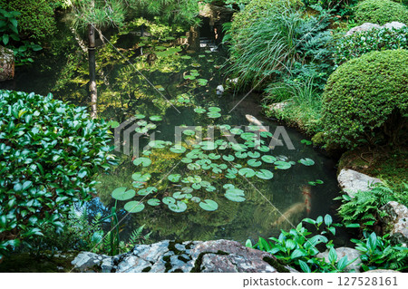 永觀堂舊北條庭園 127528161