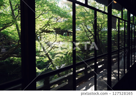 Eikando Old Hojo Garden 127528165