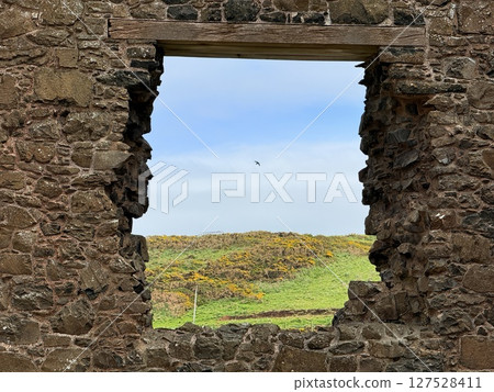 Dunluce Castle, perched on Northern Ireland's rugged Antrim Coast, showcases dramatic medieval ruins against windswept cliffs. Its weathered stone walls and sea views evoke history and mystery, ideal  127528411