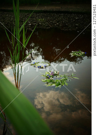 Midsummer solstice or Ivan Kupala celebration Midsummer solstice or Ivan Kupala celebration 127528481