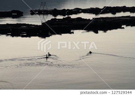Fishing port dyed in the setting sun 127529344
