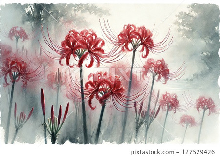 群集孤挺花 群集孤挺花 127529426