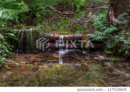 Eifel landscape, North Rhine Westphalia, Germany Eifel landscape, North Rhine Westphalia, Germany 127529645