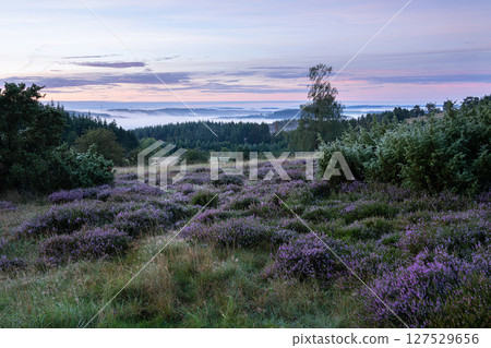 Eifel landscape, Rhineland-Palatinate, Germany Eifel landscape, Rhineland-Palatinate, Germany 127529656