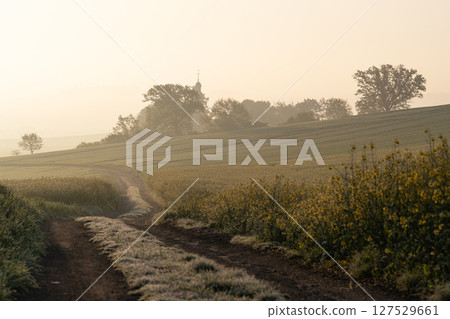 Eifel landscape, Rhineland-Palatinate, Germany Eifel landscape, Rhineland-Palatinate, Germany 127529661