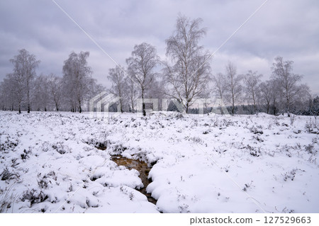 Eifel landscape, North Rhine Westphalia, Germany 127529663