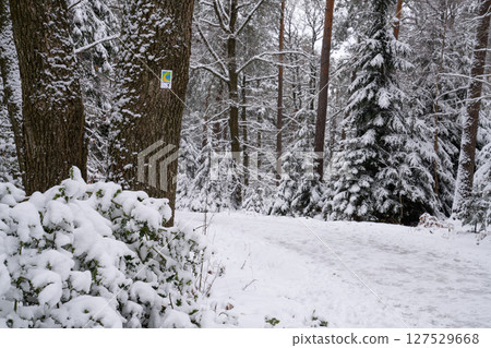 Eifel landscape, North Rhine Westphalia, Germany 127529668