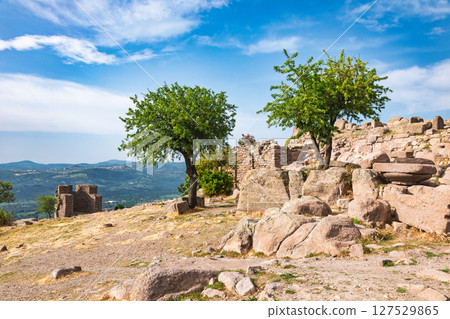 Scenic view of ancient ruins and stone walls with trees near Temple of Athena in Assos Turkey overlooking Aegean landscape 127529865