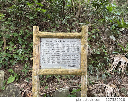 Tindahanata Monument on Yonaguni Island Tindahanata Monument on Yonaguni Island 127529928