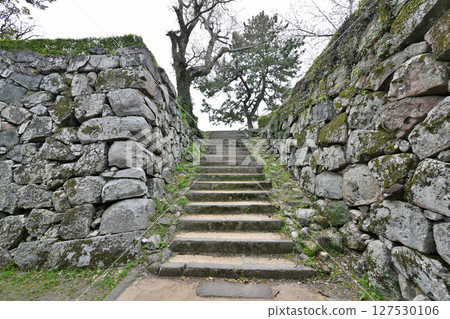 Saga Castle Park, where bullet scars from the Saga Rebellion remain 127530106