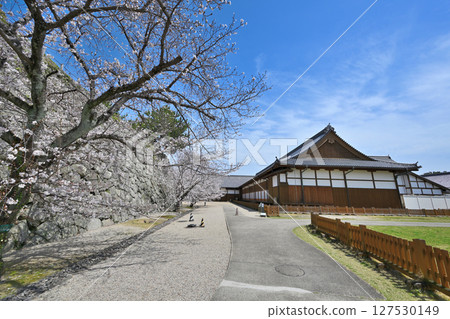 Saga Castle Park, where bullet scars from the Saga Rebellion remain 127530149