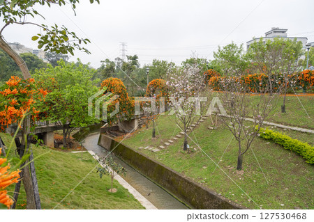 2025年6月11日，台灣鶯歌永吉公園，景色優美 127530468