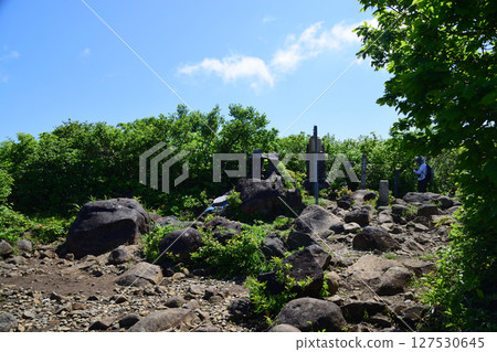 莫里貢達克 莫里貢達克 127530645